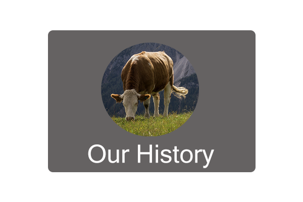 Our History button